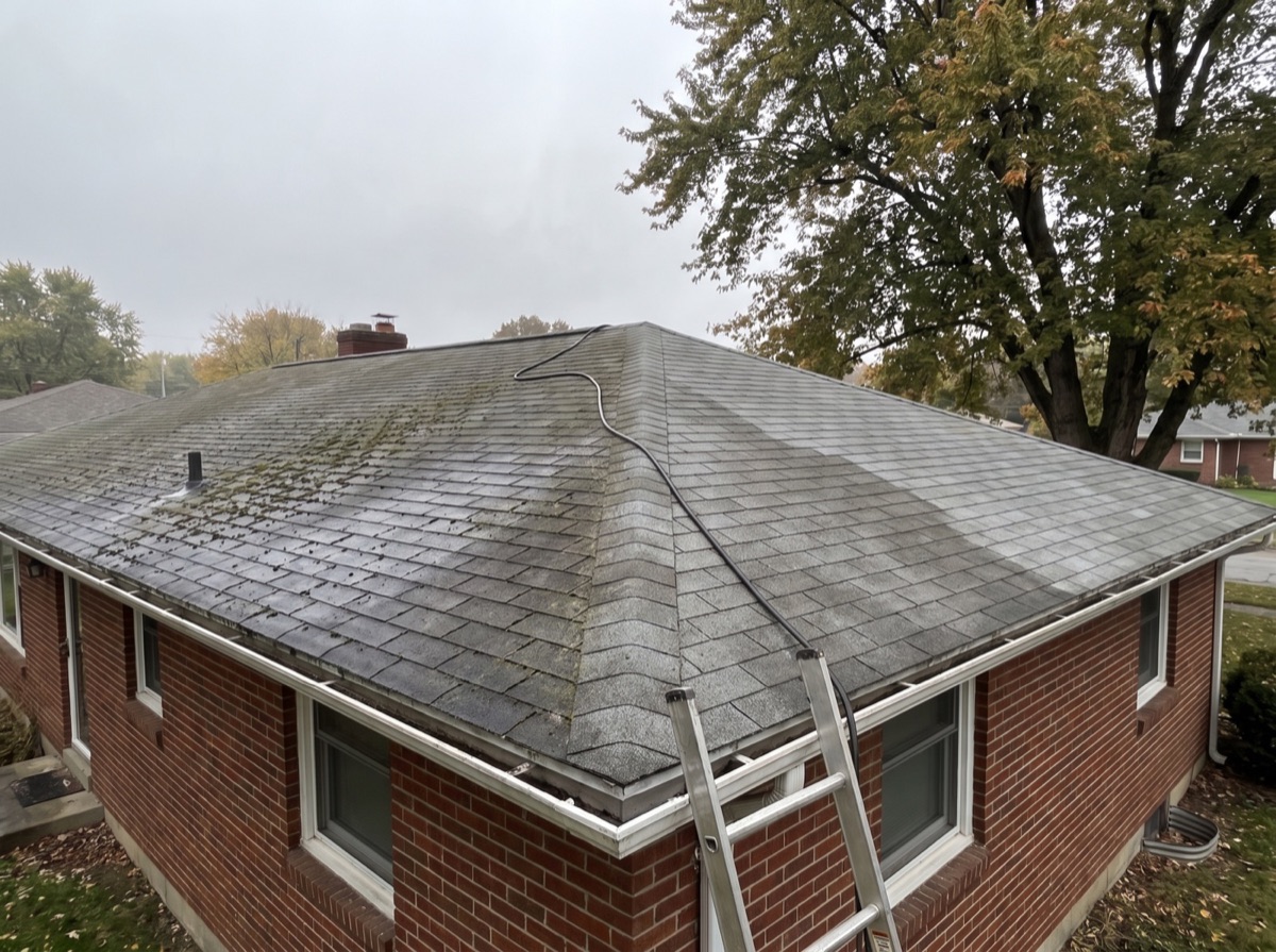 Roof Cleaning