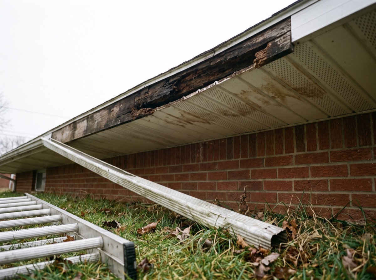 Soffit & Fascia Repair